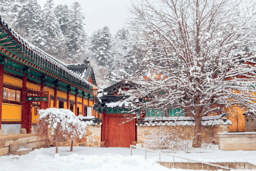 Gangwon Hàn Quốc